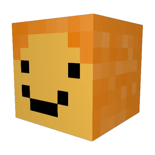 Qnicorn200 Minecraft avatar head, 3D render