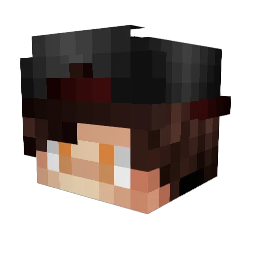 Qoids Minecraft avatar head, 3D render