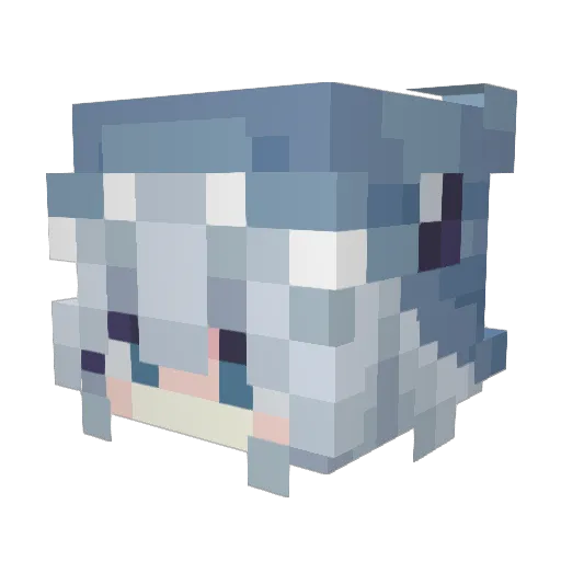 Qoinlan Minecraft avatar head, 3D render