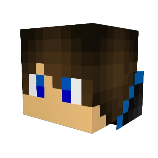 Qq1476887834 Minecraft avatar head, 3D render