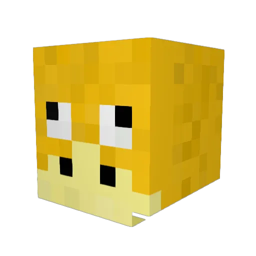 Qr4g3 Minecraft avatar head, 3D render