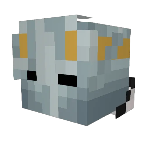 Qrusaider Minecraft avatar head, 3D render