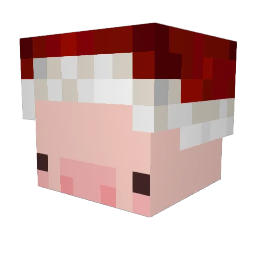 Qskar Minecraft avatar head, 3D render