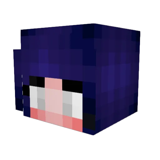 QteeDaRealest Minecraft avatar head, 3D render