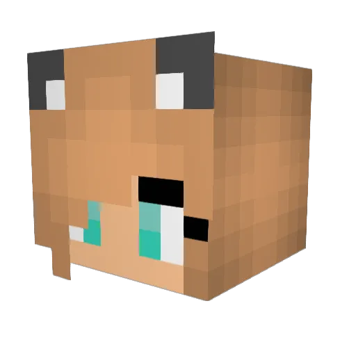 Qtiebites Minecraft avatar head, 3D render