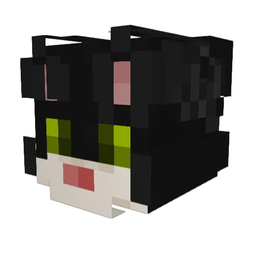 Qu4nt_m Minecraft avatar head, 3D render