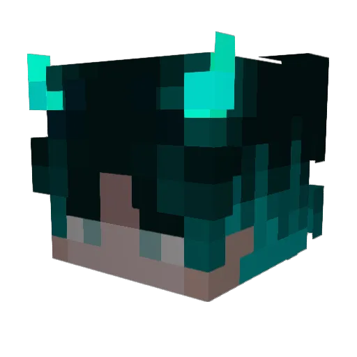 Qu_Jiu Minecraft avatar head, 3D render