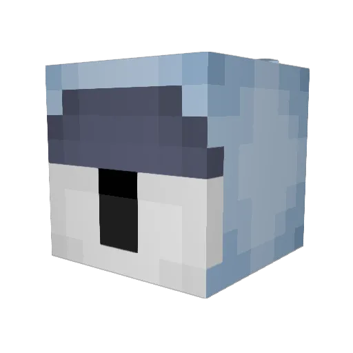 Qua_991 Minecraft avatar head, 3D render