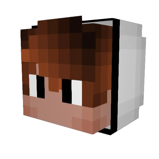 Quab_ Minecraft avatar head, 3D render