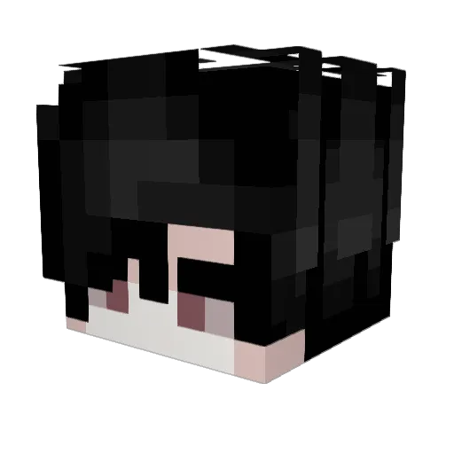 Quabaquack Minecraft avatar head, 3D render