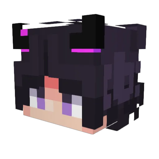 Quack135 Minecraft avatar head, 3D render