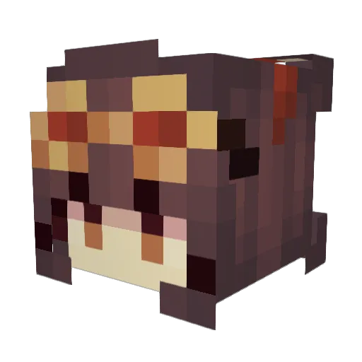 QuackADonk Minecraft avatar head, 3D render