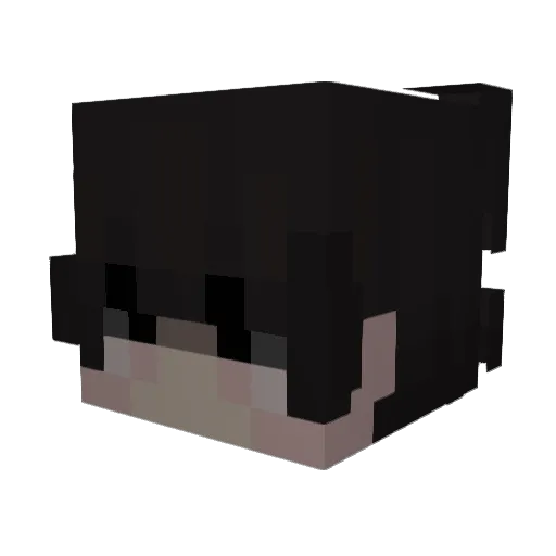 QuackGM_Abuser Minecraft avatar head, 3D render