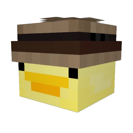 QuackImmaDuck Minecraft avatar head, 3D render