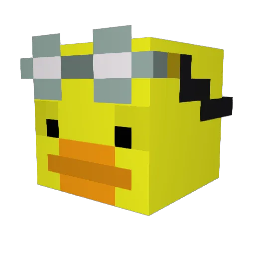 QuackMcDuck Minecraft avatar head, 3D render
