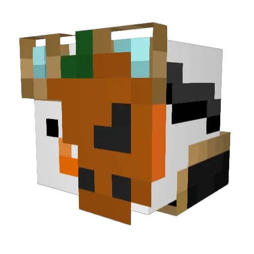 QuackPenguin444 Minecraft avatar head, 3D render