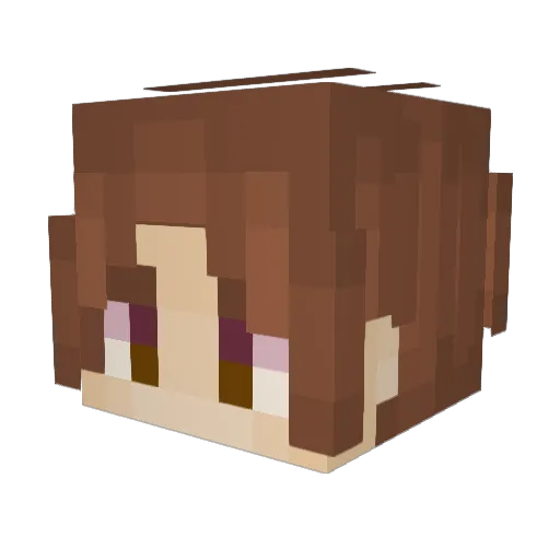 QuackSmasher69 Minecraft avatar head, 3D render