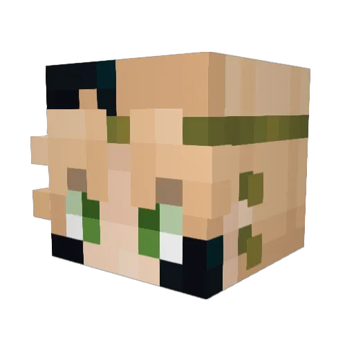 QuackToonz Minecraft avatar head, 3D render