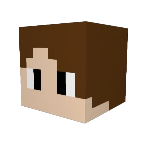 Quack_2022 Minecraft avatar head, 3D render