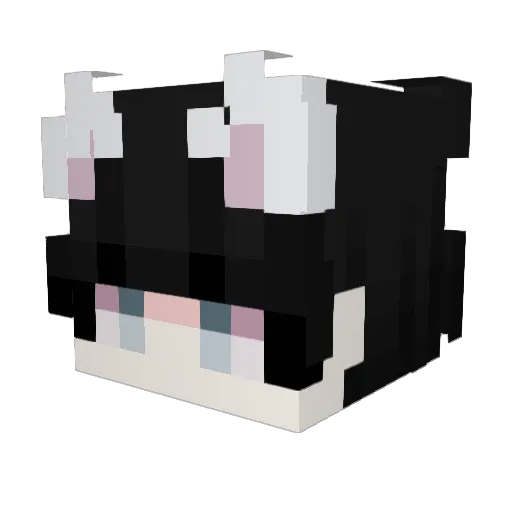 QuackaBear Minecraft avatar head, 3D render