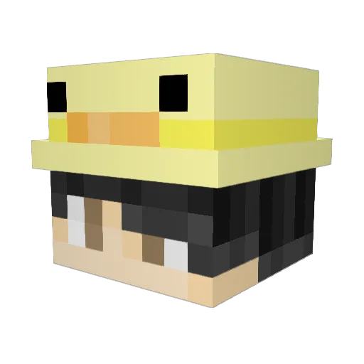QuackerDork Minecraft avatar head, 3D render