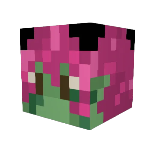 QuackersandSoup Minecraft avatar head, 3D render