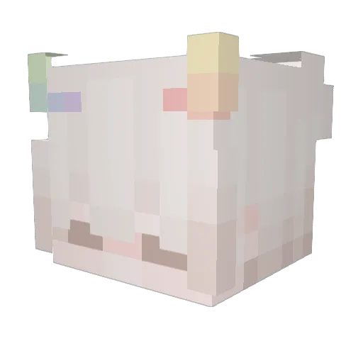 Quackiboy Minecraft avatar head, 3D render