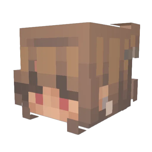 Quackingbeetle Minecraft avatar head, 3D render