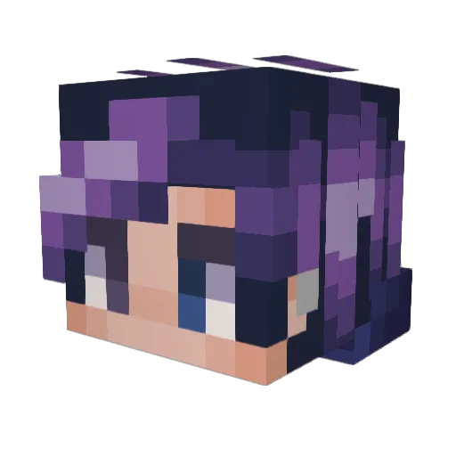 Quacklustre Minecraft avatar head, 3D render