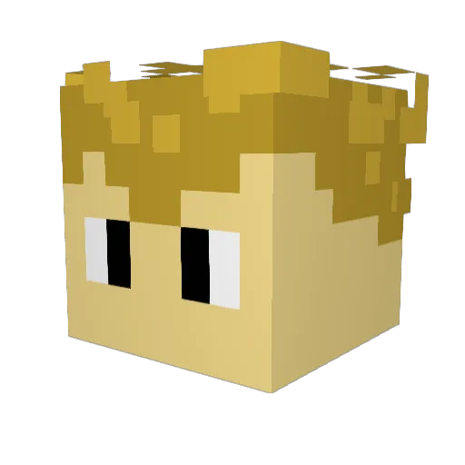 Quackman25 Minecraft avatar head, 3D render