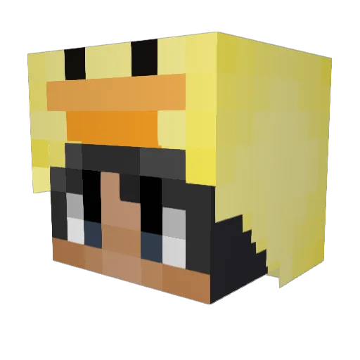 Quacknap Minecraft avatar head, 3D render