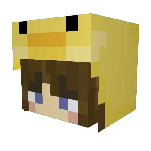 QuacksonPlays Minecraft avatar head, 3D render