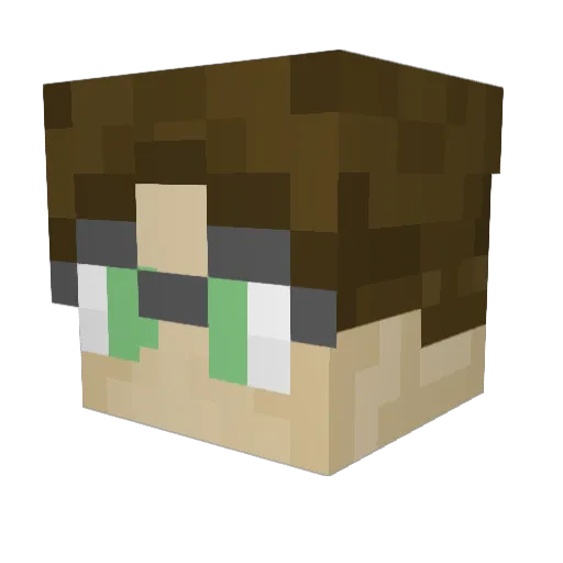 Quackster37 Minecraft avatar head, 3D render