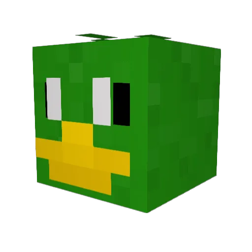 Quackuaman Minecraft avatar head, 3D render