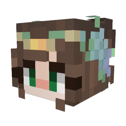 Quackulous Minecraft avatar head, 3D render