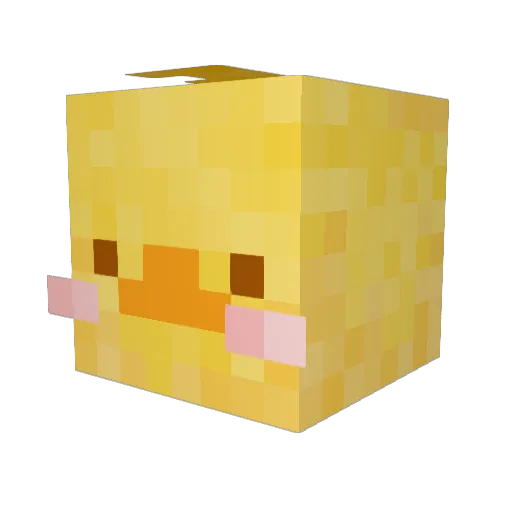 QuackySun Minecraft avatar head, 3D render
