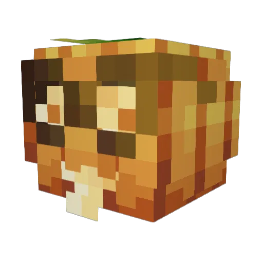 Quaddy707 Minecraft avatar head, 3D render