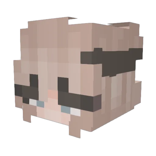 Quadnang Minecraft avatar head, 3D render