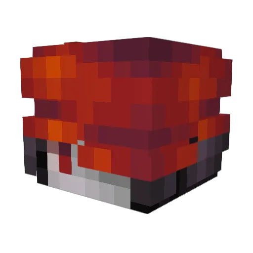 Quadraxis Minecraft avatar head, 3D render