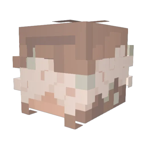 QuaffIee Minecraft avatar head, 3D render