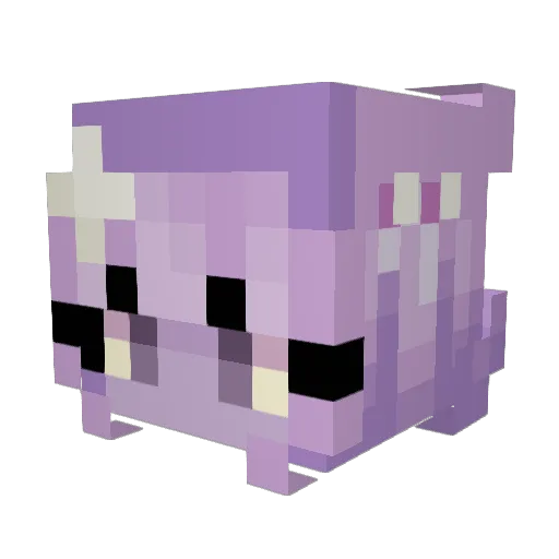Quagette Minecraft avatar head, 3D render