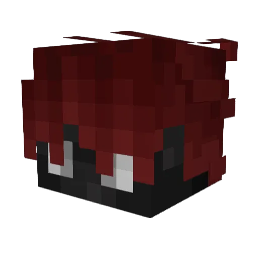 Quaggelmuff Minecraft avatar head, 3D render