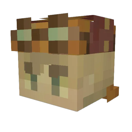 QuagsireBoi Minecraft avatar head, 3D render