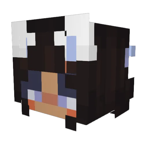 Quagster Minecraft avatar head, 3D render