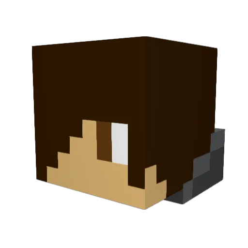 Quaiden_ Minecraft avatar head, 3D render
