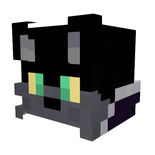 Quaiizy Minecraft avatar head, 3D render