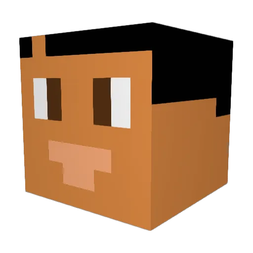 QuailOnBail Minecraft avatar head, 3D render