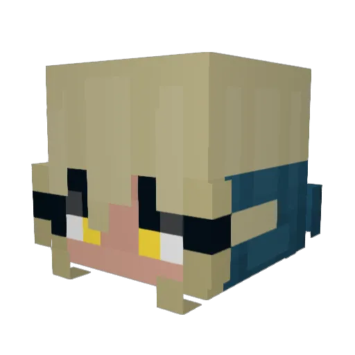 Quailman1989 Minecraft avatar head, 3D render