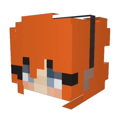 Quaint81 Minecraft avatar head, 3D render