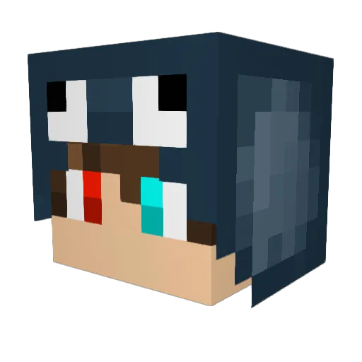 QuaintoPoulPe Minecraft avatar head, 3D render